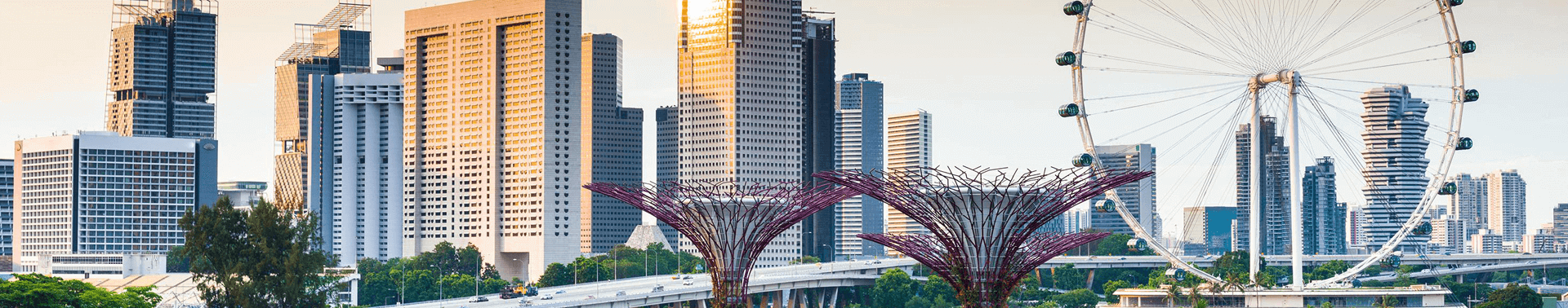 Доставка сборных грузов из Сингапура